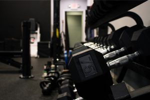 Gym Weights for Baldwin personal training sessions